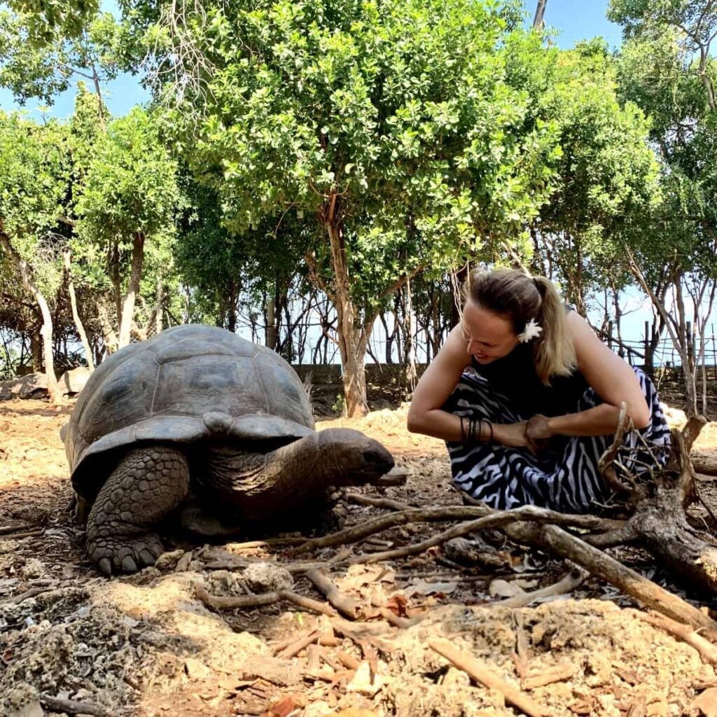Dr. Natalia Wiechowski kneeing next to a giant turtle.